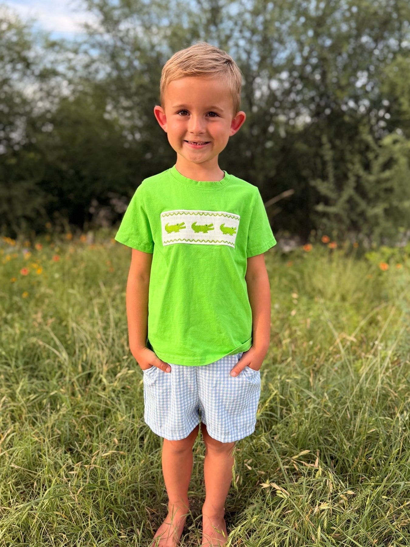 Toddler Boys Summer Crocodile Embroidered Plaid Shorts Set